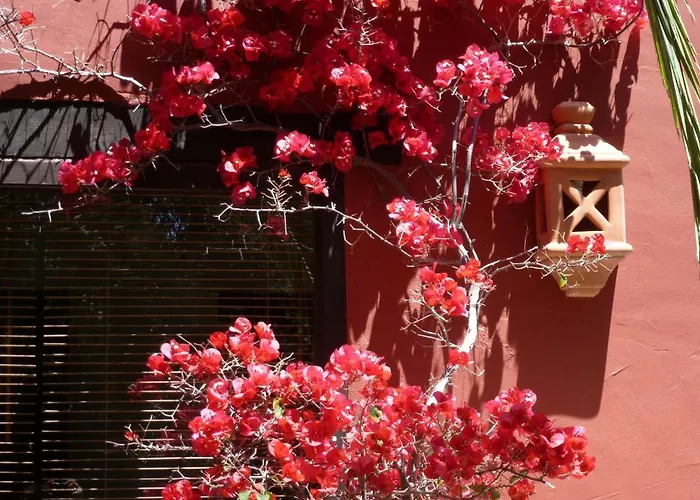 Casa Las Palmeras (Adults Only) Marbella